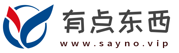 有点东西源码网